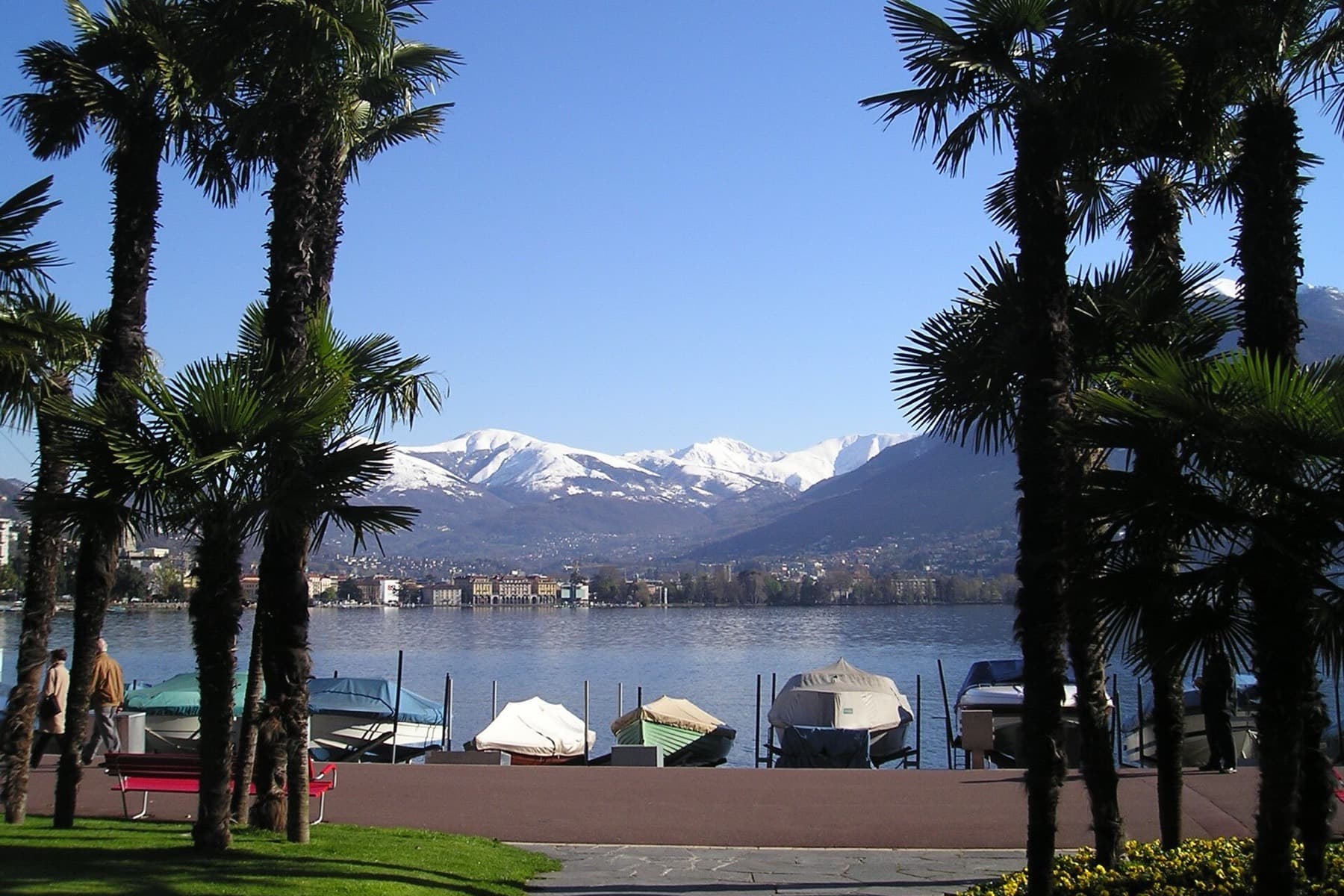 Il lungolago di Paradiso tra le palme: barche ormeggiate ai pontili, di fronte il centro di Lugano e le montagne innevate.